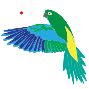 Biodex